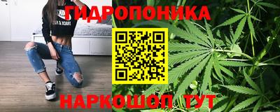 индика Тулун