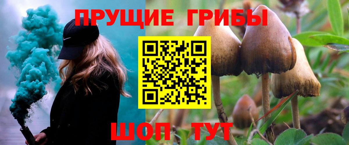 Псилоцибиновые грибы GOLDEN TEACHER Нарткала
