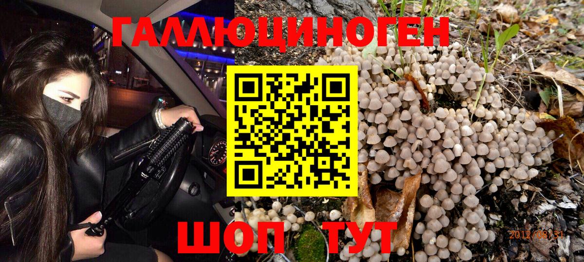 Нарткала  Галлюциногенные грибы MAGIC MUSHROOMS  Вход с VPN 